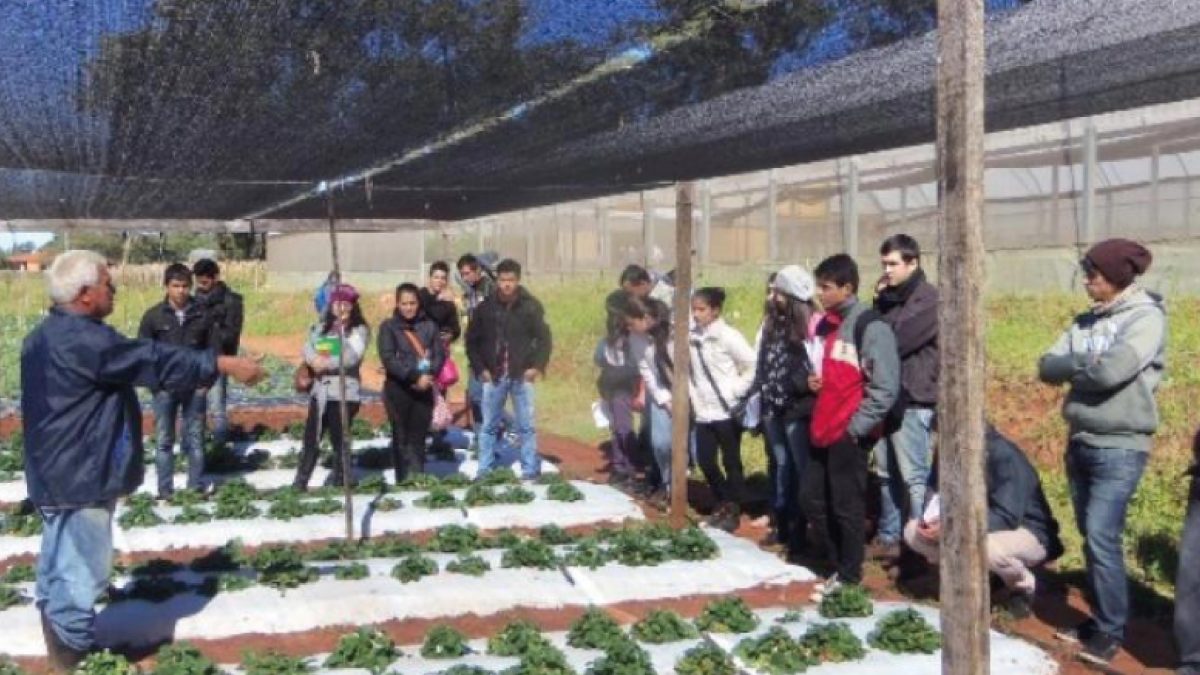 Investigación agrícola, interés de estudiantes