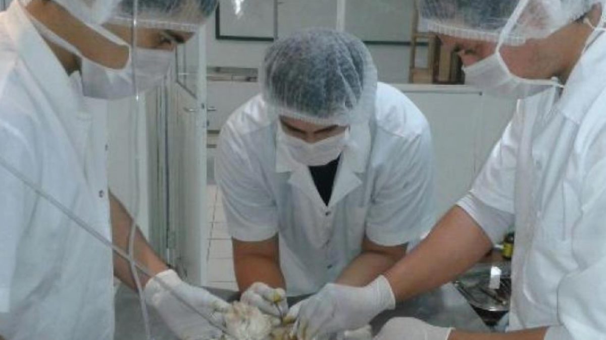 La economía primaria requiere de veterinarios calificados