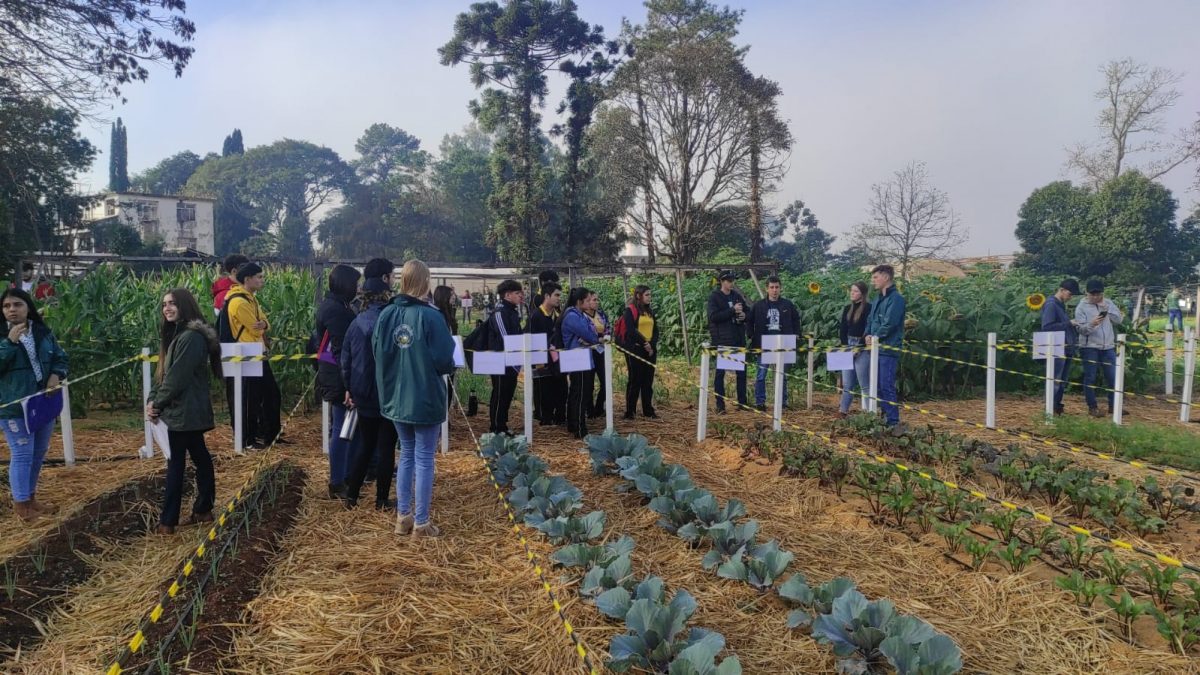 Día de campo y promoción de carreras en la Unidad Pedagógica Hohenau