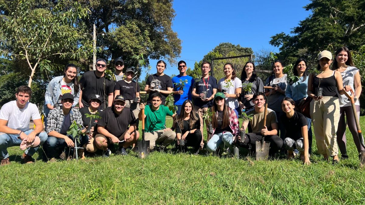 Estudiantes plantaron 80 especies nativas en el «Plantatón»