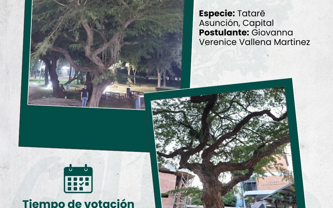 El emblemático árbol de la Facultad de CyT se destaca como finalista en concurso «Árbol de mi Comunidad»